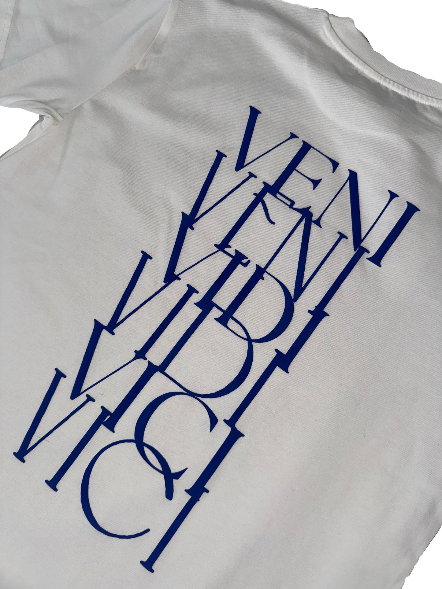 Veni Vidi Vici T-Shirt Weiss